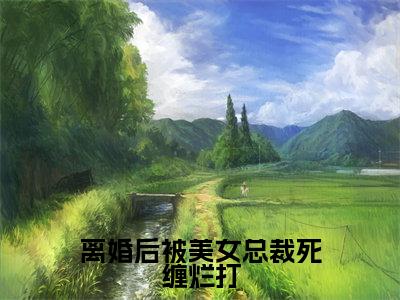 新上热文离婚后被美女总裁死缠烂打在线阅读-张扬叫张扬的小说全文完整版免费阅读