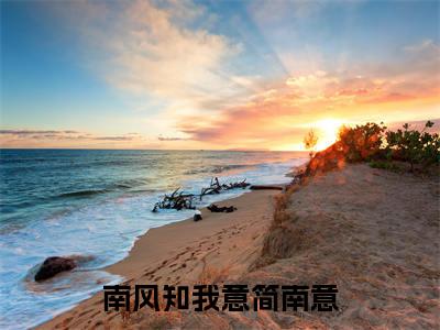 南风知我意简南意全文（盛西洲简南意）全文免费阅读无弹窗大结局_（盛西洲简南意）最新章节列表