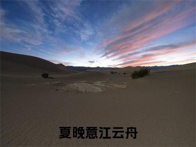 夏晚意江云舟（江云舟夏晚意）全文免费读无弹窗大结局_江云舟夏晚意免费小说无弹窗最新章节列表
