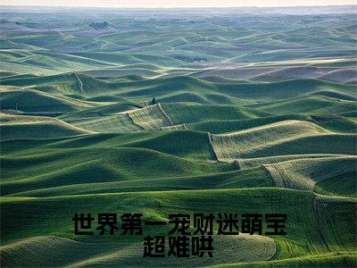 世界第一宠财迷萌宝超难哄小说全文在线赏析秦南御纪微甜小说免费阅读全文大结局
