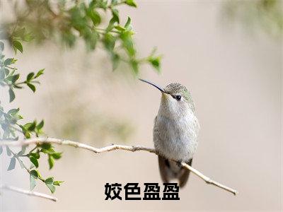 江书婠裴鹤安（姣色盈盈）全文免费阅读_（姣色盈盈）江书婠裴鹤安最新章节小说免费阅读_笔趣阁