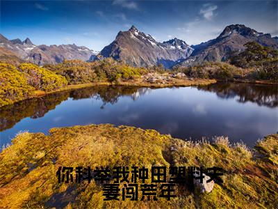 你科举我种田塑料夫妻闯荒年（宋砚江清月）小说全文免费_你科举我种田塑料夫妻闯荒年（宋砚江清月）最新章节目录笔趣阁