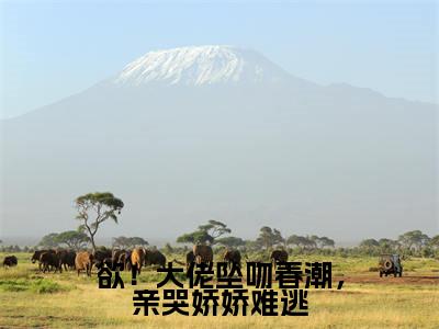 欲！大佬坠吻春潮，亲哭娇娇难逃小说免费阅读裴时娆傅闻京小说全文免费阅读_（欲！大佬坠吻春潮，亲哭娇娇难逃）裴时娆傅闻京最新章节列表笔趣阁