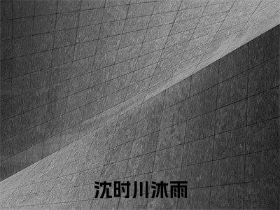沈时川沐雨精彩小说（沈时川沐雨）阅读大结局沈时川沐雨免费版小说更新阅读_笔趣阁