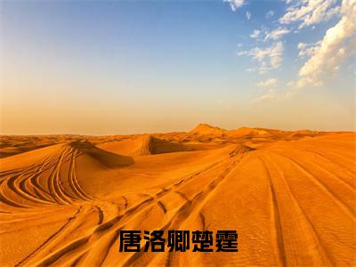 小说（唐洛卿楚霆）免费阅读-小说（唐洛卿楚霆）唐洛卿楚霆全文在线赏析最新章节列表_笔趣阁