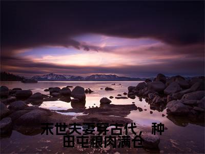 高赞小说末世夫妻穿古代，种田屯粮肉满仓（萧砚姜宁宁）完结阅读_萧砚姜宁宁末世夫妻穿古代，种田屯粮肉满仓免费看全文