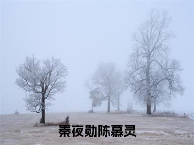 秦夜勋陈慕灵小说全文免费阅读（秦夜勋陈慕灵）全文免费阅读无弹窗_秦夜勋陈慕灵小说全文免费阅读_笔趣阁