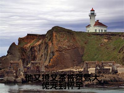 他又撩又茶被桀骜大佬宠到怀孕（谢京墨虞之琬）全文免费读无弹窗大结局_他又撩又茶被桀骜大佬宠到怀孕免费阅读全文大结局最新章节列表