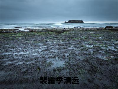 裴霜季清远（季清远裴霜）全文免费阅读无弹窗大结局_裴霜季清远最新章节列表_笔趣阁（季清远裴霜）