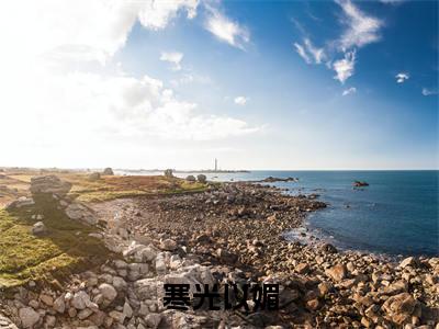 寒光以媚（盛明媚顾寒光）小说免费阅读在线阅读_寒光以媚全文免费阅读_笔趣阁