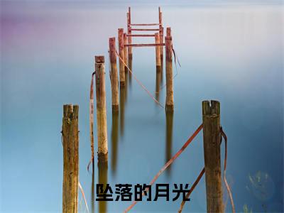 陆景川唐清芷（坠落的月光最新全章节大结局）全文阅读-陆景川唐清芷坠落的月光在线小说免费阅读
