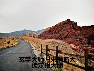 玄学大师归来满城大佬求抱大腿全网热搜（温风萤萧青时）是什么小说，玄学大师归来满城大佬求抱大腿免费阅读无弹窗
