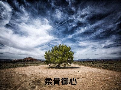 林清婉（柔骨御心）全文免费阅读大结局_林清婉（柔骨御心）免费在线阅读_笔趣阁