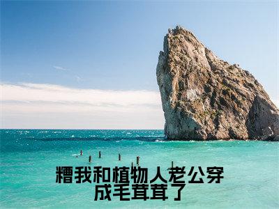 糟我和植物人老公穿成毛茸茸了（段乘鸢）小说全文无删减版_糟我和植物人老公穿成毛茸茸了最新章节列表_笔趣阁（段乘鸢）