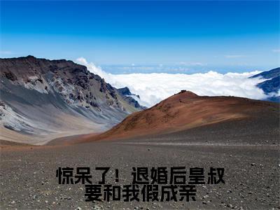 惊呆了！退婚后皇叔要和我假成亲（穆轻颜君晔）全文免费阅读无弹窗_惊呆了！退婚后皇叔要和我假成亲全文免费阅读无弹窗最新章节列表笔趣阁