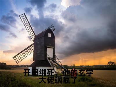 沐兮全文免费免费阅读无弹窗最新章节列表_笔趣阁（开局绑死，他的玄学大佬飒疯了全文免费）