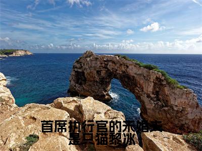 郁言琛黎冰小说最新章节阅读-首席执行官的未婚夫是只猫黎冰全文免费试读