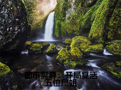 小说林淼鑫都市冥尊：开局复活五位尸姐求书热文免费阅读-林淼鑫小说分享全文都市冥尊：开局复活五位尸姐