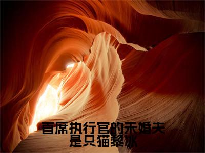 首席执行官的未婚夫是只猫黎冰（郁言琛黎冰）全文免费阅读无弹窗大结局_（郁言琛黎冰在线阅读）最新章节列表笔趣阁（郁言琛黎冰）