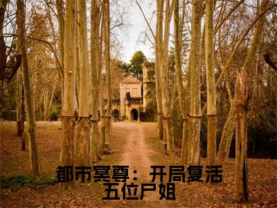 都市冥尊：开局复活五位尸姐（大结局小说全集完整版）林淼鑫小说_都市冥尊：开局复活五位尸姐全文阅读笔趣阁（后续）+（全文）