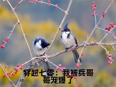 （叶荞陆向北）热门美文阅读_热门小说穿越七零：我被兵哥哥宠爆了主人公是（叶荞陆向北）最新章节限时观看_笔趣阁