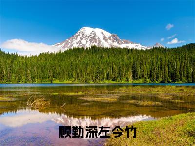 顾勤深左今竹（左今竹顾勤深）小说全文免费阅读无弹窗大结局_顾勤深左今竹全文在线阅读无弹窗