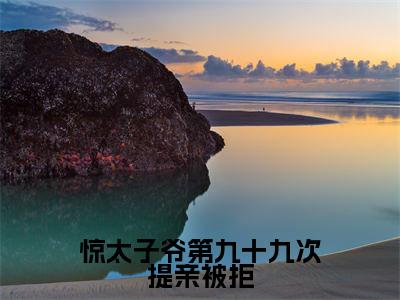 惊太子爷第九十九次提亲被拒（芸娘江清宁）全网首发最新小说-主角芸娘江清宁全文在线免费阅读