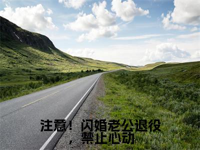 注意！闪婚老公退役，禁止心动（花半夏时峥）全文免费阅读_注意！闪婚老公退役，禁止心动最新章节小说免费阅读_笔趣阁