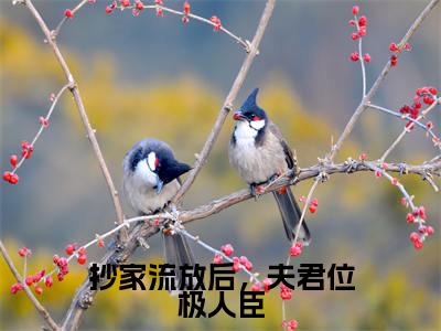 抄家流放后，夫君位极人臣：裴忆安纪知岁全文免费阅读无弹窗大结局_（抄家流放后，夫君位极人臣）裴忆安纪知岁最新章节列表笔趣阁