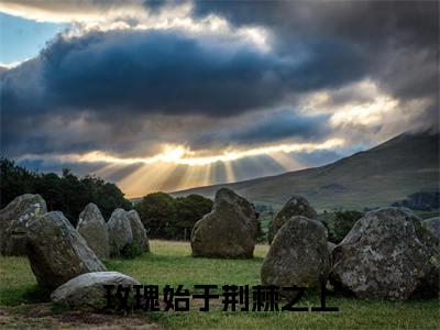 小说（玫瑰始于荆棘之上）江念念何南知精选片段阅读-小说江念念何南知免费版最新更新阅读