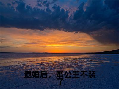 谢云淮虞清颜的小说主角（退婚后，本公主不装了）免费阅读_退婚后，本公主不装了热搜小说完结版阅读