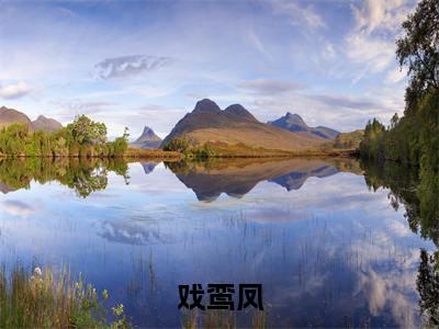 戏鸾凤（宋玖禾）全文免费读无弹窗大结局_（宋玖禾免费小说）戏鸾凤无弹窗最新章节列表