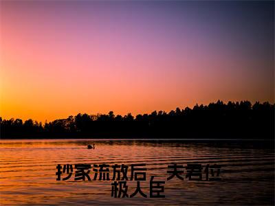 抄家流放后，夫君位极人臣（纪知岁裴忆安）免费小说-主角纪知岁裴忆安全文在线完本阅读笔趣阁