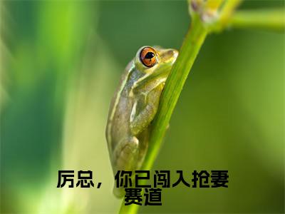 厉总，你已闯入抢妻赛道（沈雨琪厉泽宇）全文免费阅读无弹窗大结局_（厉总，你已闯入抢妻赛道全文免费阅读无弹窗）最新章节列表