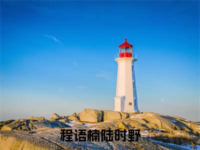 小说《程语楠陆时野》全文免费阅读无弹窗-程语楠陆时野小说全文在线赏析