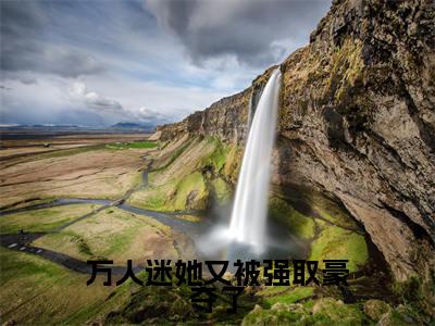 万人迷她又被强取豪夺了小说全文（花琉璃）全文免费阅读无弹窗大结局_万人迷她又被强取豪夺了全文免费阅读无弹窗最新章节列表