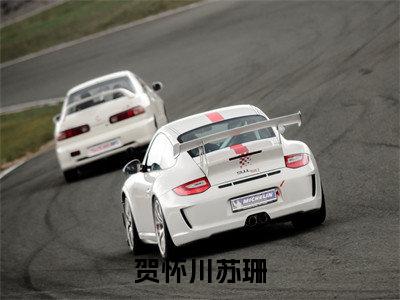 贺怀川苏珊（贺怀川苏珊）全文免费阅读无弹窗大结局_贺怀川苏珊最新章节列表_笔趣阁