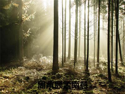周承颐孟南意（周承颐孟南意）精彩热门小说_（周承颐孟南意）周承颐孟南意最新章节列表_笔趣阁
