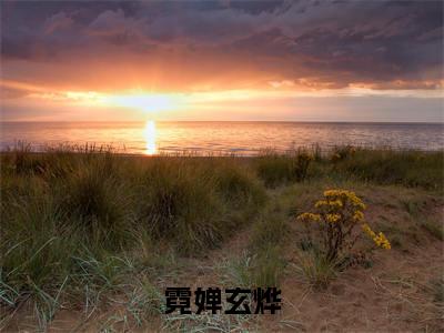 霓婵玄烨（霓婵玄烨）小说全文免费阅读无弹窗_（霓婵玄烨）最新章节列表_笔趣阁