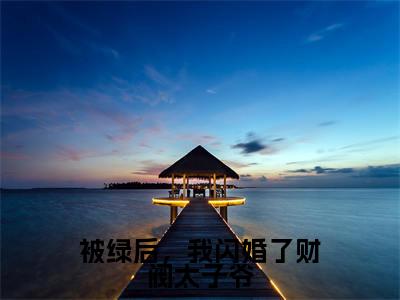 程依念司擎墨是什么小说-（被绿后，我闪婚了财阀太子爷全文阅读）最新章节列表