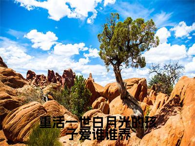 重活一世白月光的孩子爱谁谁养（陈玉娇石聪迟）最新章节在线阅读-老书虫推荐重活一世白月光的孩子爱谁谁养小说