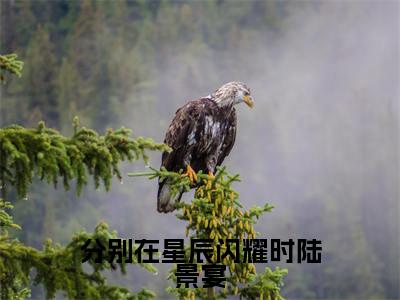 （苏幕遮陆景宴番外+免费）分别在星辰闪耀时陆景宴小说主角叫什么-苏幕遮陆景宴全文免费阅读大结局