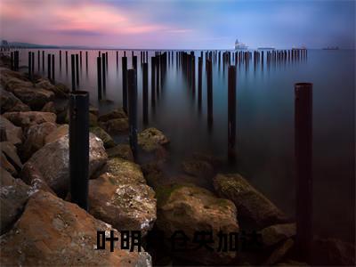 叶明月仓央加达全集章节小说免费阅读完整版（叶明月仓央加达）-叶明月仓央加达小说免费阅读