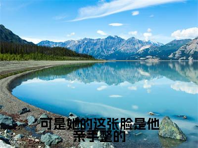 可是她的这张脸是他亲手整的（虞苒苒沈淮序）全文免费阅读无弹窗大结局_可是她的这张脸是他亲手整的最新章节列表_笔趣阁