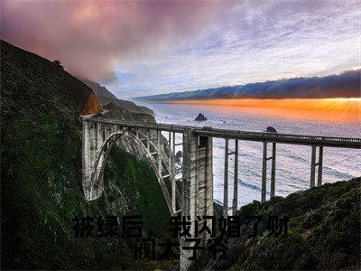 被绿后，我闪婚了财阀太子爷小说全文免费阅读无弹窗大结局_（被绿后，我闪婚了财阀太子爷）程依念司擎墨最新章节列表笔趣阁