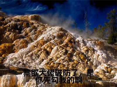 热文温颜蓝珩在线免费读-禁欲大佬破防了，是你先勾我的啊的小说（温颜蓝珩）完整版免费读全文
