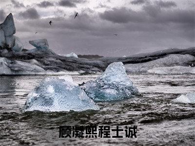 顾凝熙程士诚（顾凝熙程士诚）全文免费阅读无弹窗_顾凝熙程士诚最新小说_笔趣阁（顾凝熙程士诚）