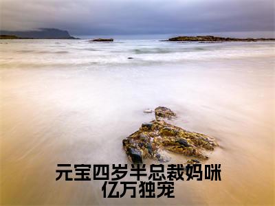 元宝陆婉令小说（元宝四岁半总裁妈咪亿万独宠）全文免费阅读无弹窗大结局_（元宝陆婉令）小说章节列表（元宝四岁半总裁妈咪亿万独宠）