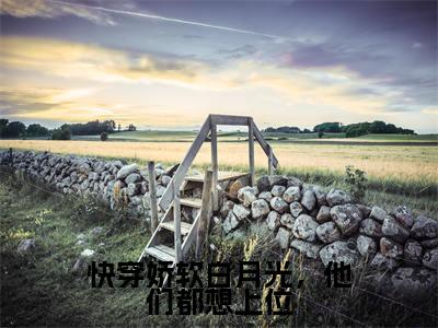 苏妧小说在线阅读快穿娇软白月光，他们都想上位无广告小说免费在线阅读