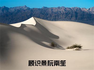 小说（顾识景阮南笙）阮南笙顾识景精选片段阅读-小说阮南笙顾识景免费版最新更新阅读